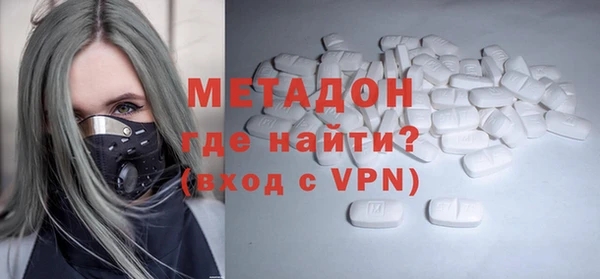 прущие грибы Новодвинск