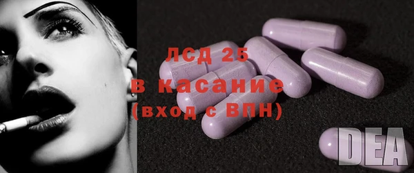 индика Нефтекумск