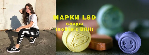индика Нефтекумск
