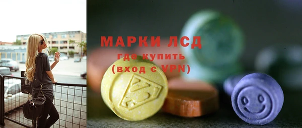 прущие грибы Надым