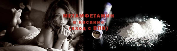 прущие грибы Надым
