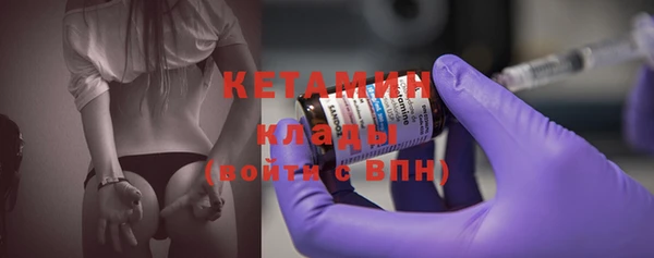 прущие грибы Надым