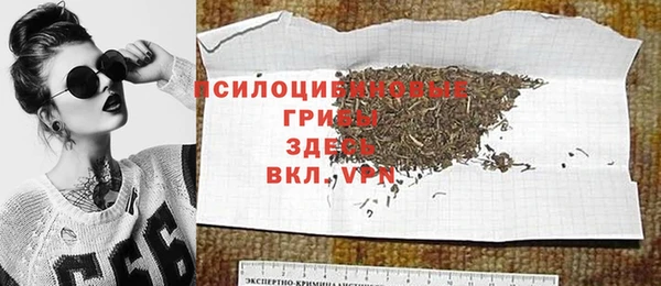 PSILOCYBIN Нефтегорск