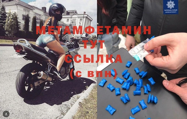 прущие грибы Надым