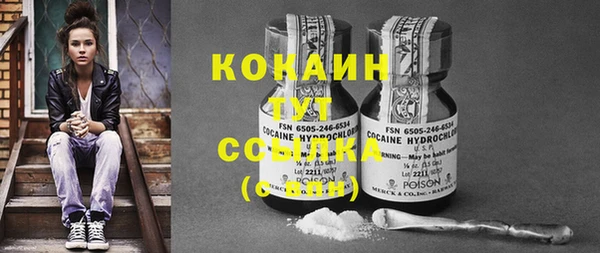 PSILOCYBIN Нефтегорск