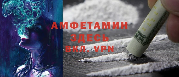 прущие грибы Надым