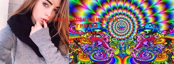 PSILOCYBIN Нефтегорск