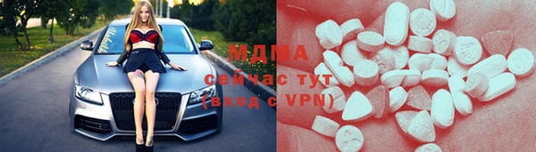 прущие грибы Надым
