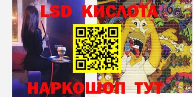 прущие грибы Камышлов