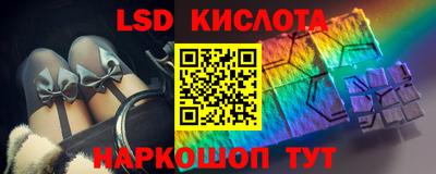 прущие грибы Камышлов