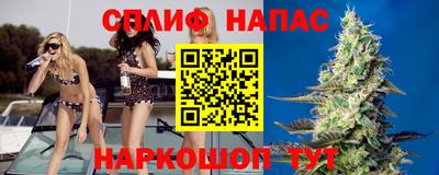 прущие грибы Камышлов