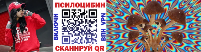 Псилоцибиновые грибы Psilocybe  Красноярск 