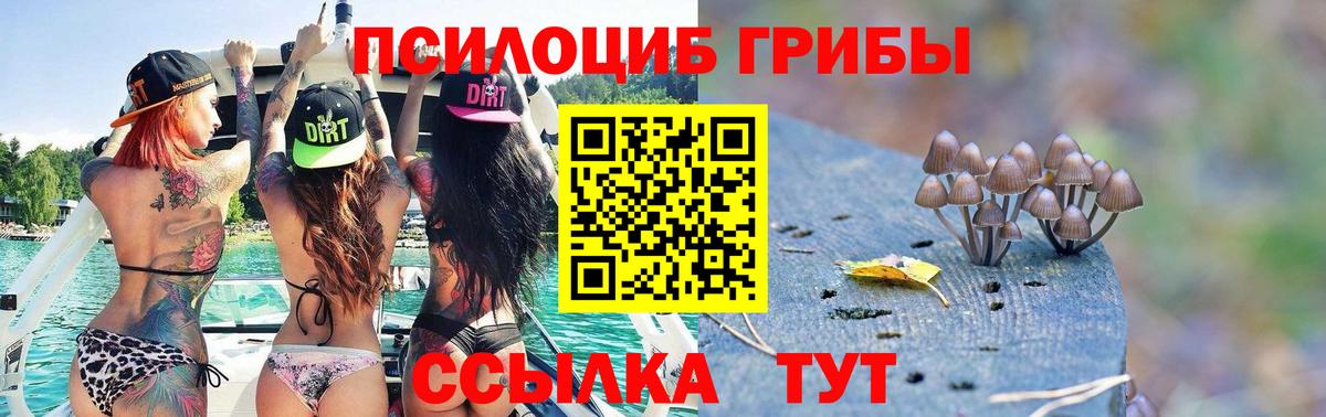 Псилоцибиновые грибы Magic Shrooms Красноярск