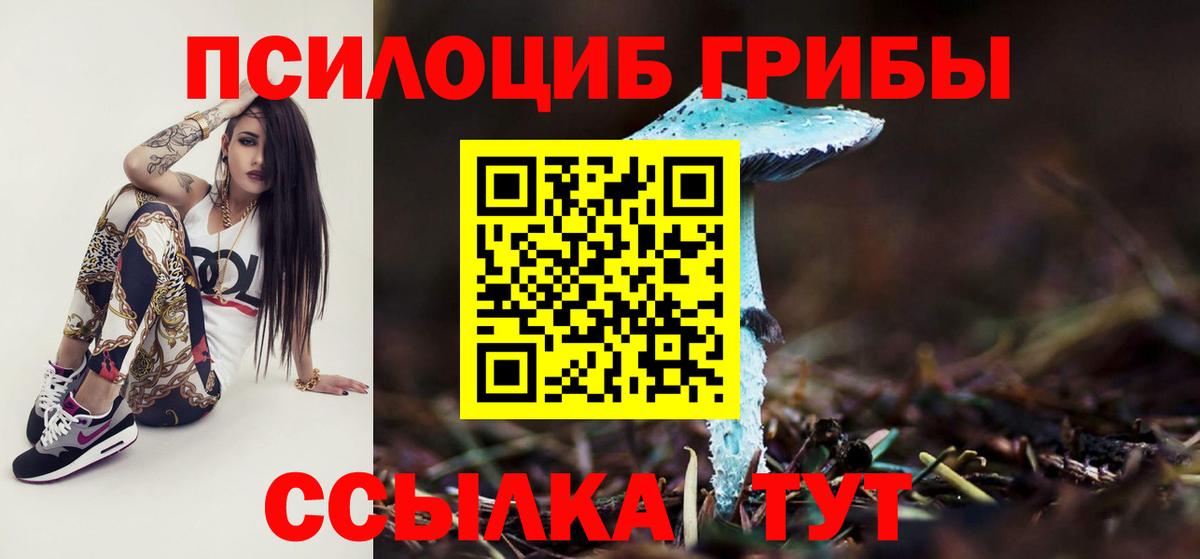 Псилоцибиновые грибы GOLDEN TEACHER  Галлюциногенные грибы мицелий  где купить   Вход с VPN  Красноярск 